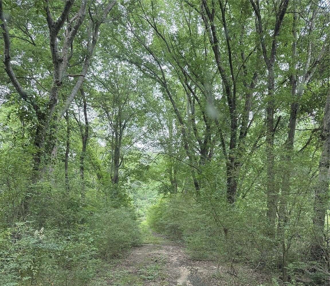 32 Acres of Recreational Land for Sale in Como, Texas