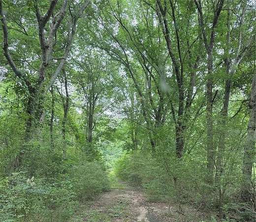 32 Acres of Recreational Land for Sale in Como, Texas