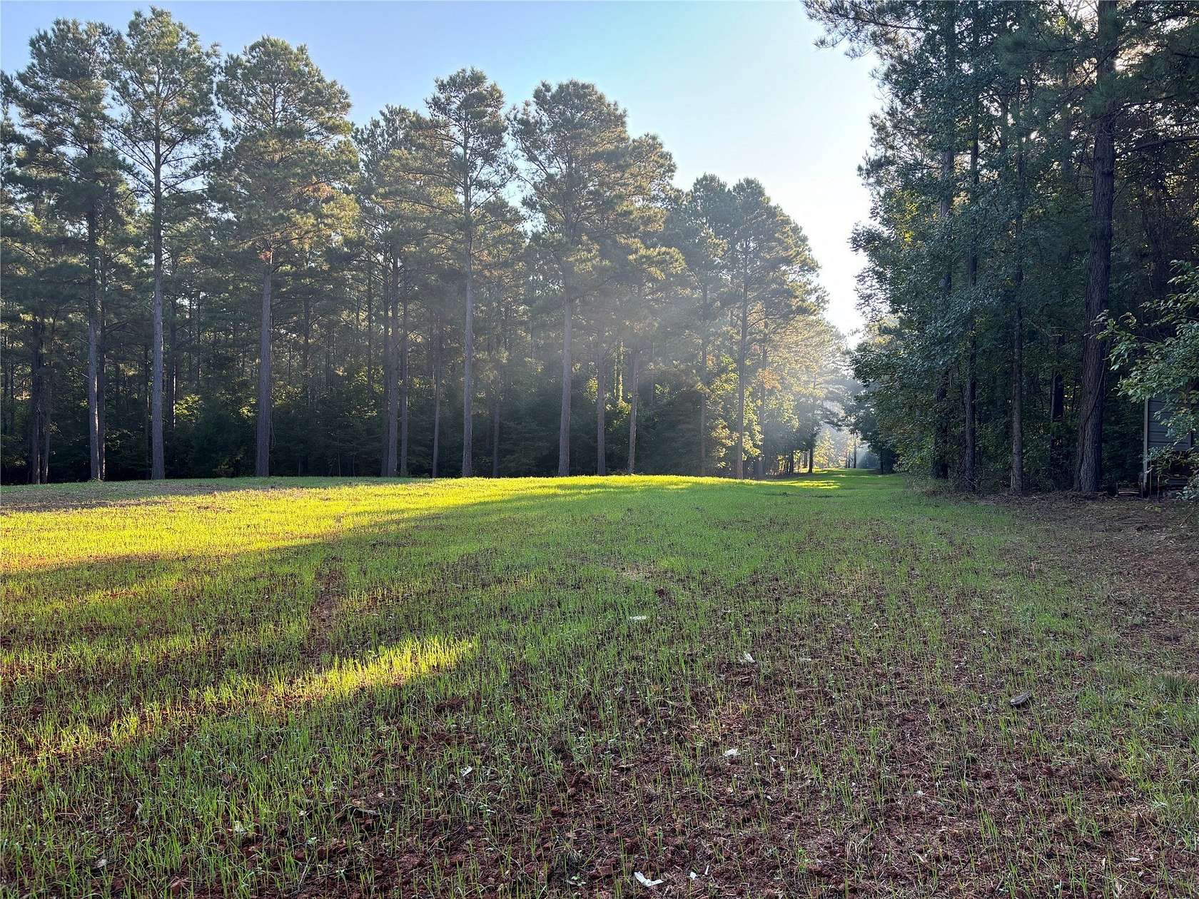 40 Acres of Recreational & Residential Land for Sale in Benton, Louisiana