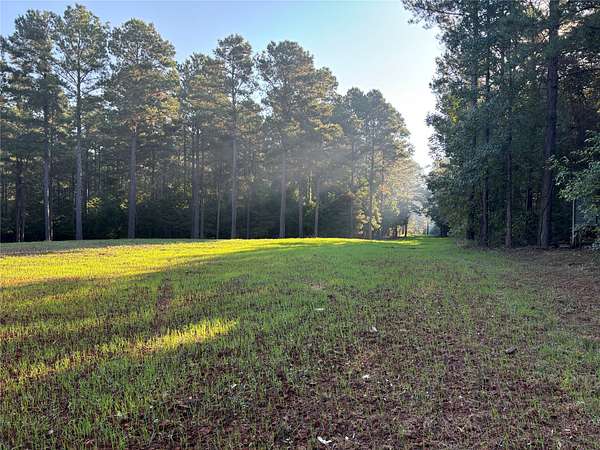 40 Acres of Recreational & Residential Land for Sale in Benton, Louisiana