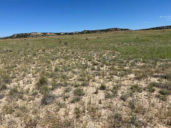 67 Acres of Land for Sale in Model, Colorado