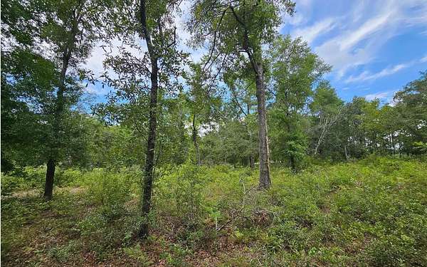 4 Acres of Residential Land for Sale in O'Brien, Florida