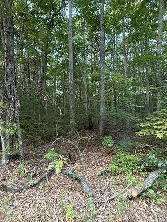 6.7 Acres of Residential Land for Sale in Monterey, Tennessee