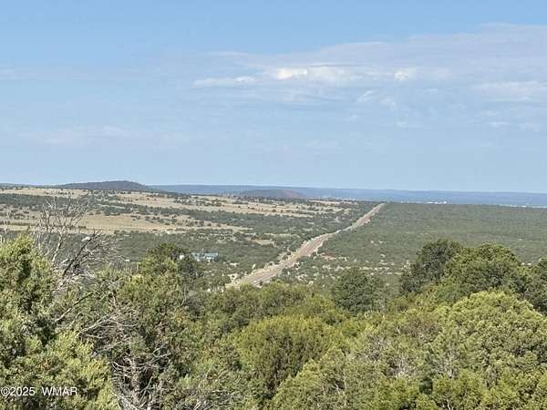 4.82 Acres of Residential Land for Sale in Vernon, Arizona