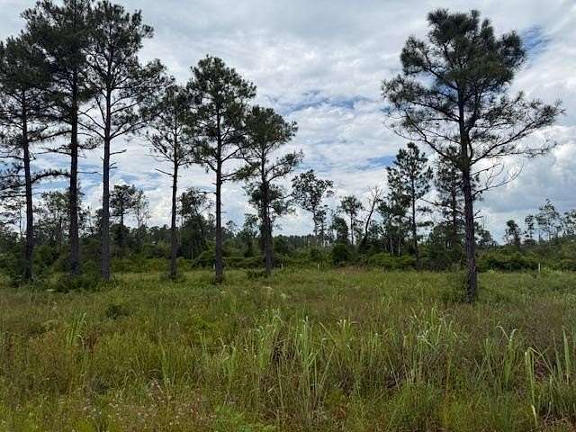 15 Acres of Land for Sale in Greenville, Florida