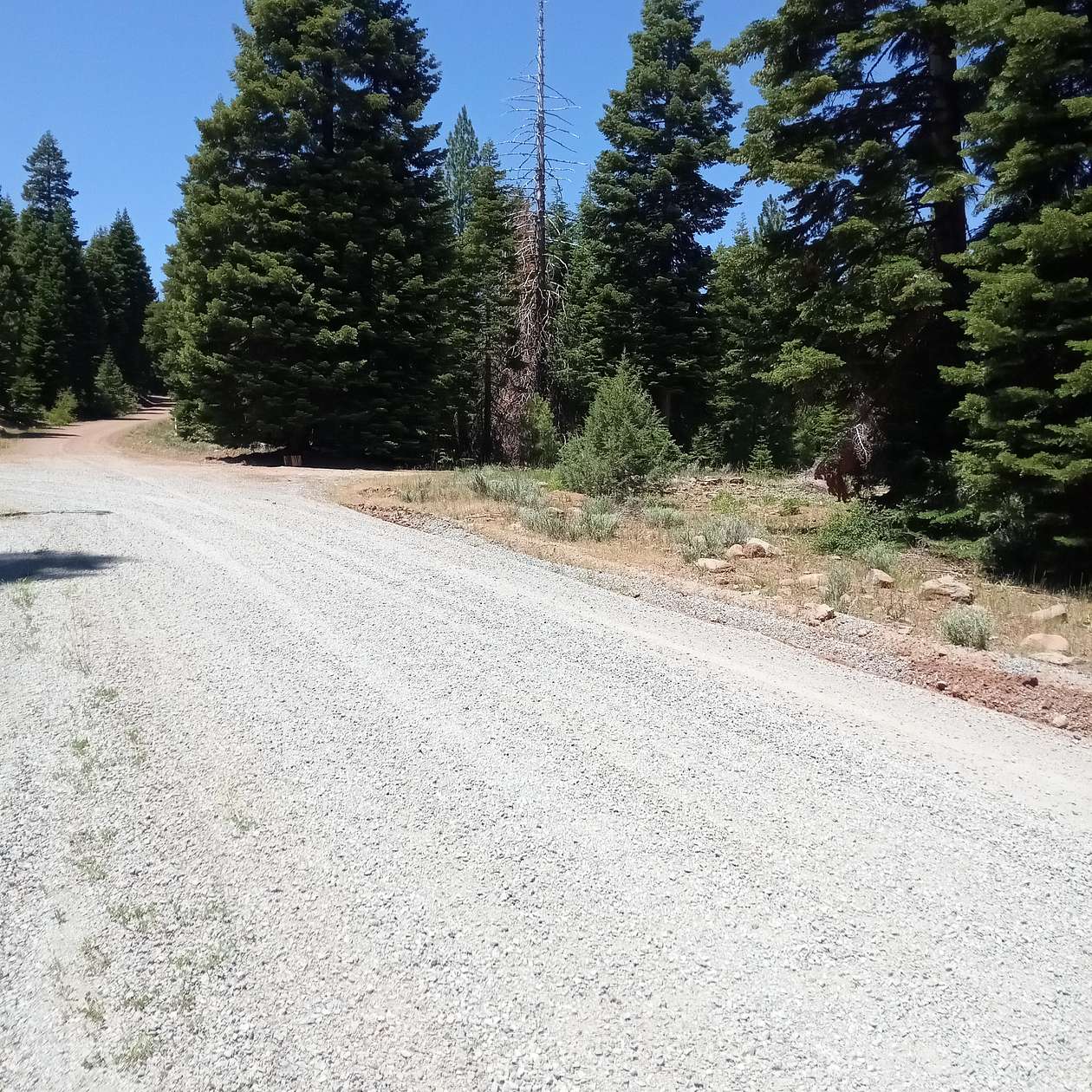1 Acre of Residential Land for Sale in Alturas, California