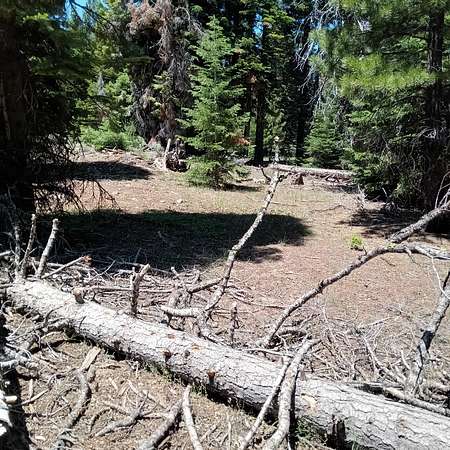 1 Acre of Residential Land for - Alturas Ca 143983002