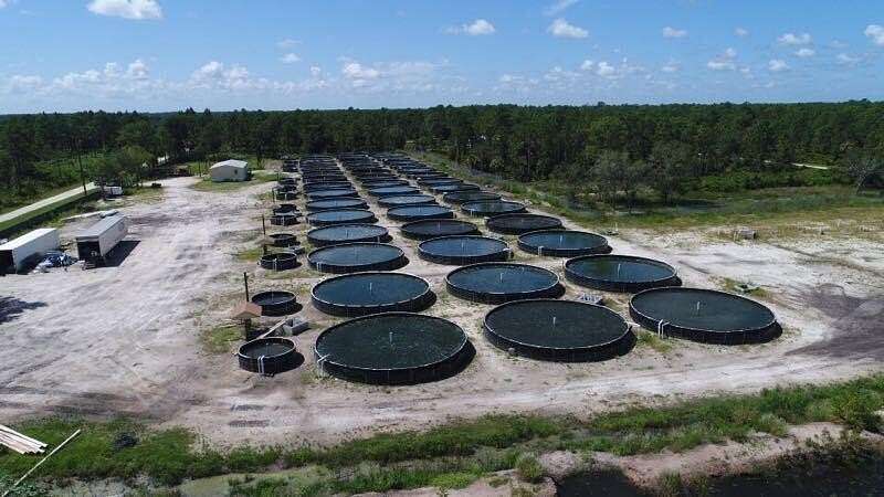 Residential Land for Sale in Clewiston, Florida