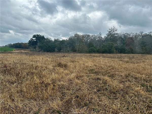 28.8 Acres of Land for Sale in Somerville, Texas