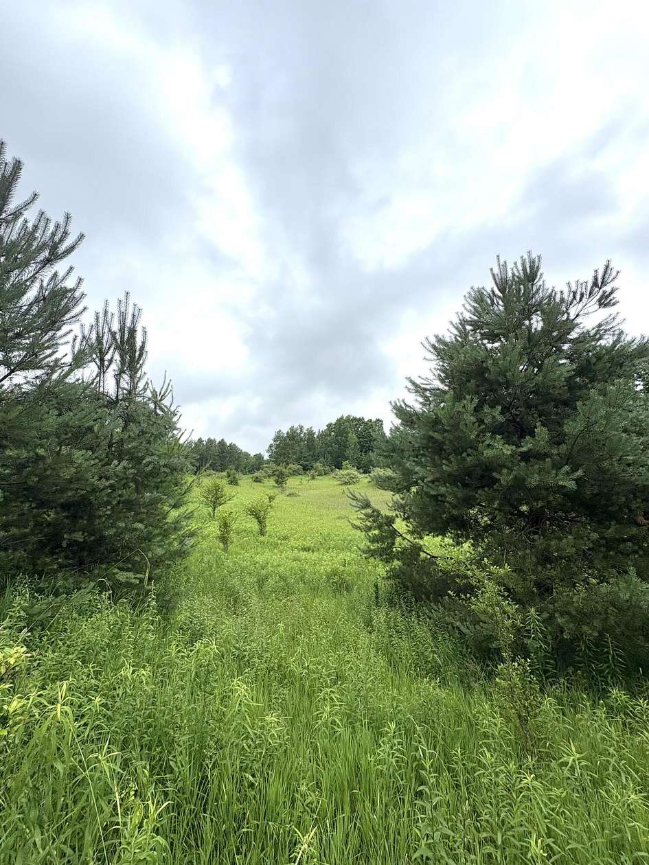 5 Acres of Land for Sale in Tustin, Michigan