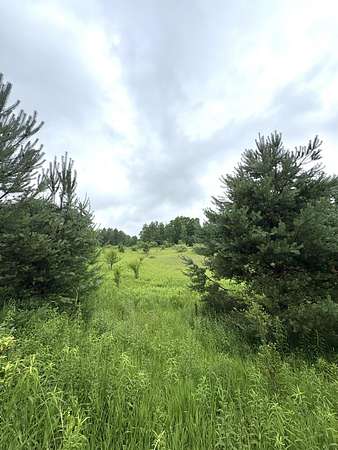 5 Acres of Land for Sale in Tustin, Michigan