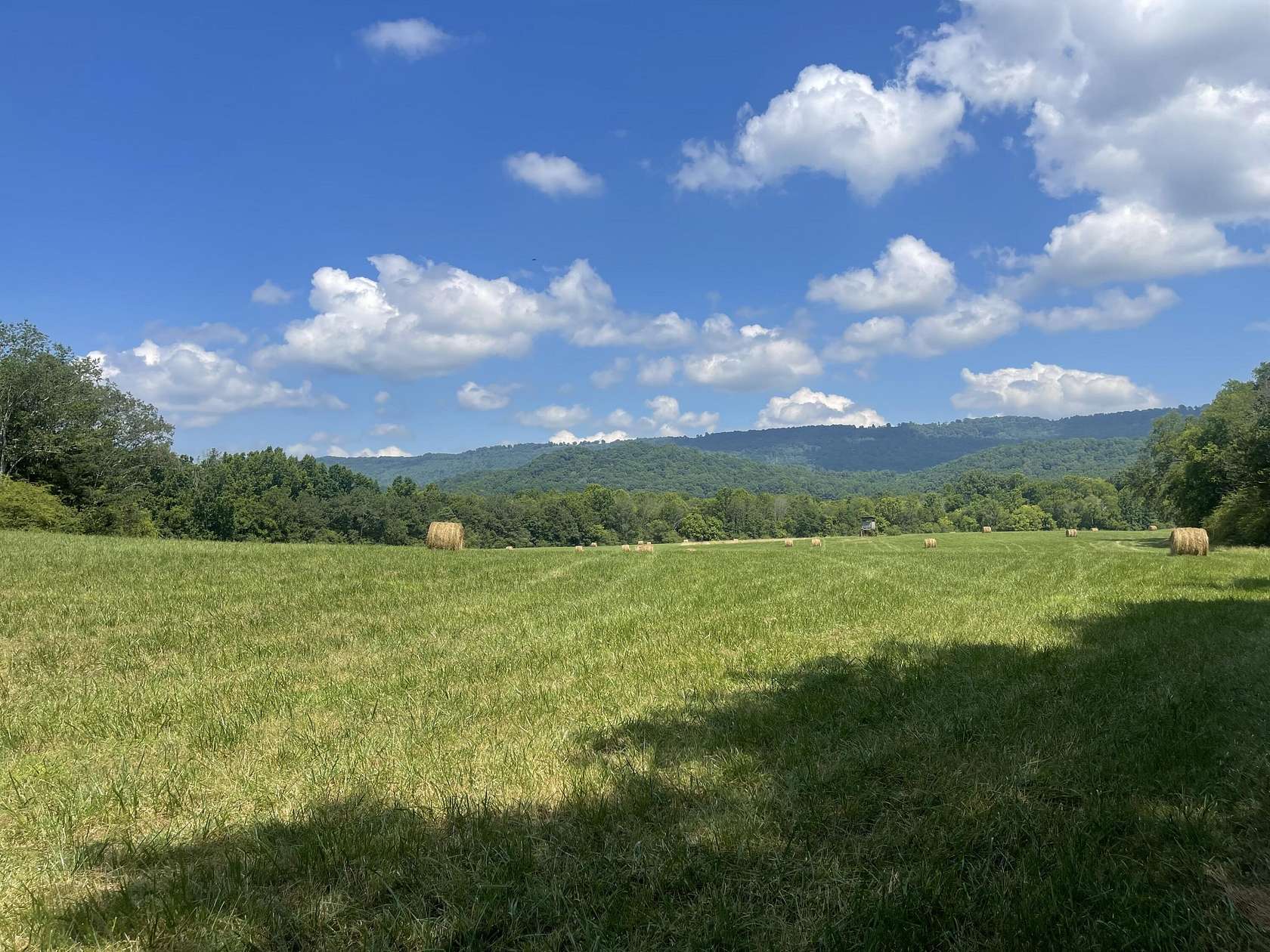 50 Acres of Agricultural & Residential Land for Sale in Bryant, Alabama