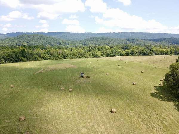 50 Acres of Agricultural Land for Sale in Bryant, Alabama