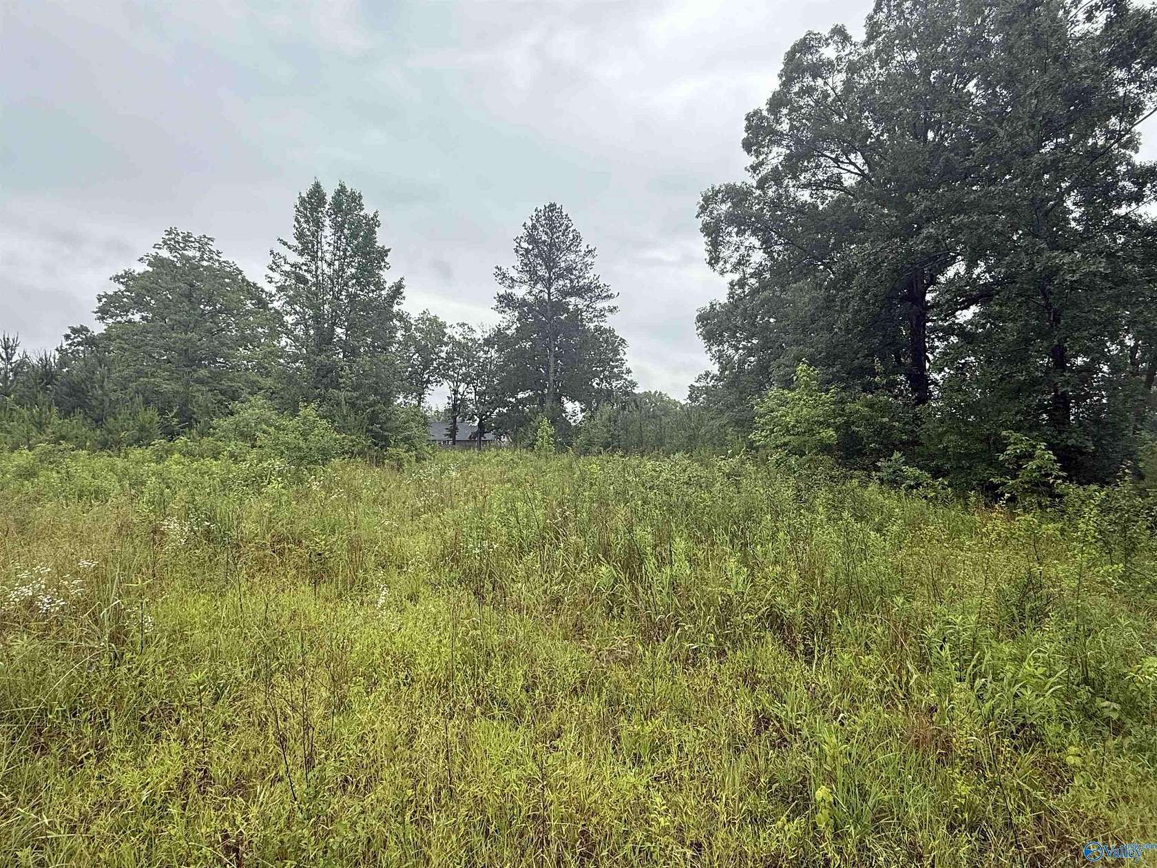 6.77 Acres of Mixed-Use Land for Sale in Centre, Alabama
