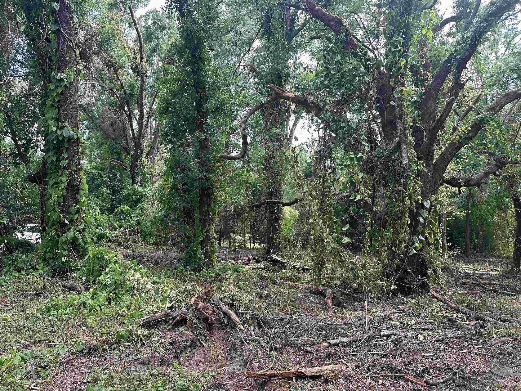 0.52 Acres of Residential Land for Sale in Tallahassee, Florida