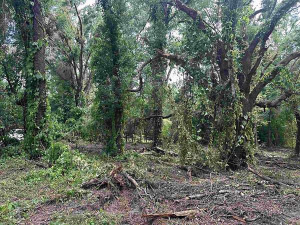 0.52 Acres of Residential Land for Sale in Tallahassee, Florida