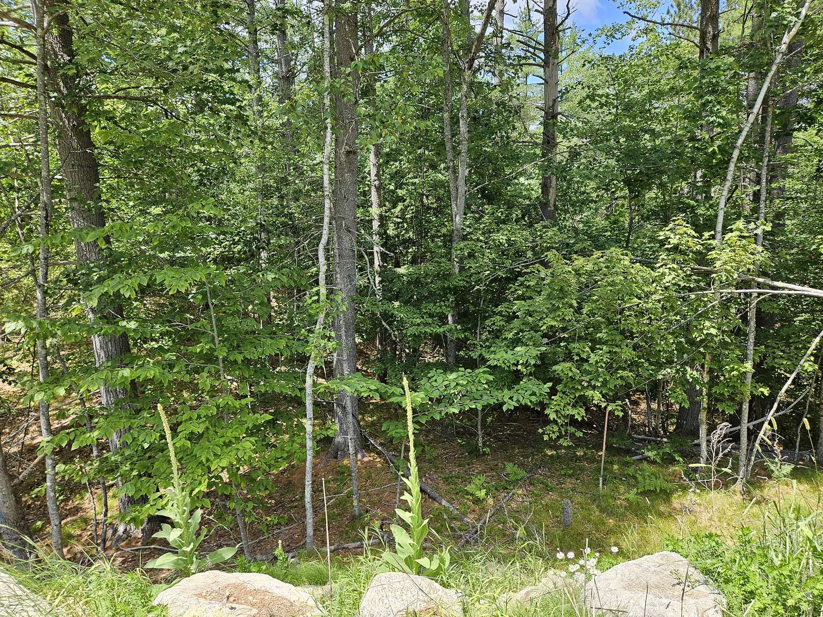 0.48 Acres of Land for Sale in Waterboro, Maine