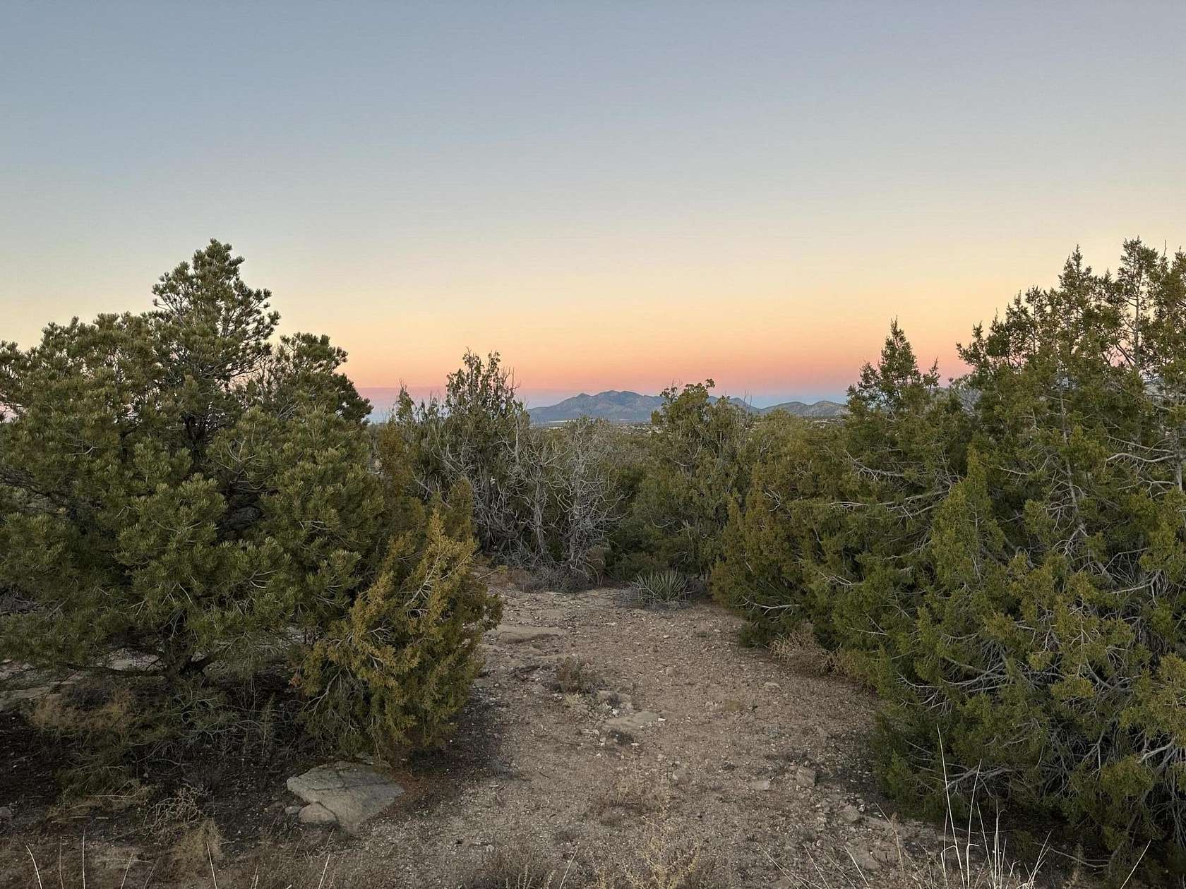 1 Acre of Residential Land for Sale in Sandia Park, New Mexico