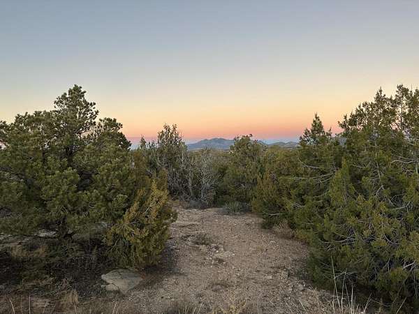 1 Acre of Residential Land for Sale in Sandia Park, New Mexico