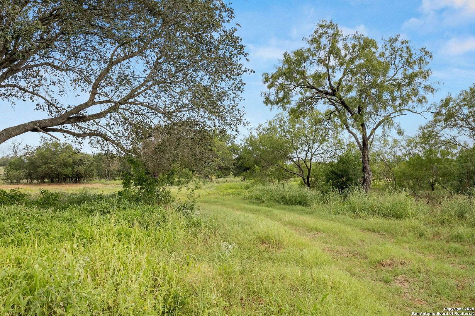 45 Acres of Land for Sale in Seguin, Texas