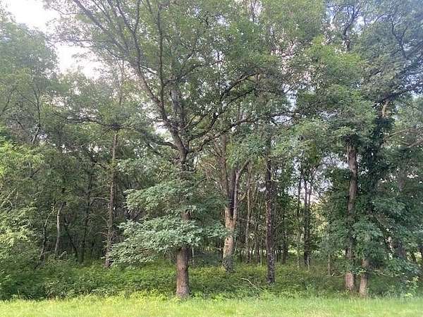 5 Acres of Residential Land for Sale in Nekoosa, Wisconsin