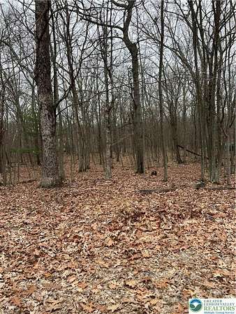 0.29 Acres of Residential Land for Sale in Pike Township, Pennsylvania