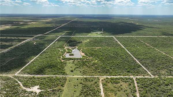 100 Acres of Land for Sale in Fowlerton, Texas