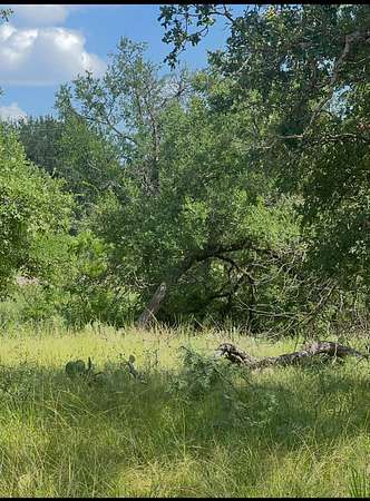 0.06 Acres of Land for Sale in May, Texas