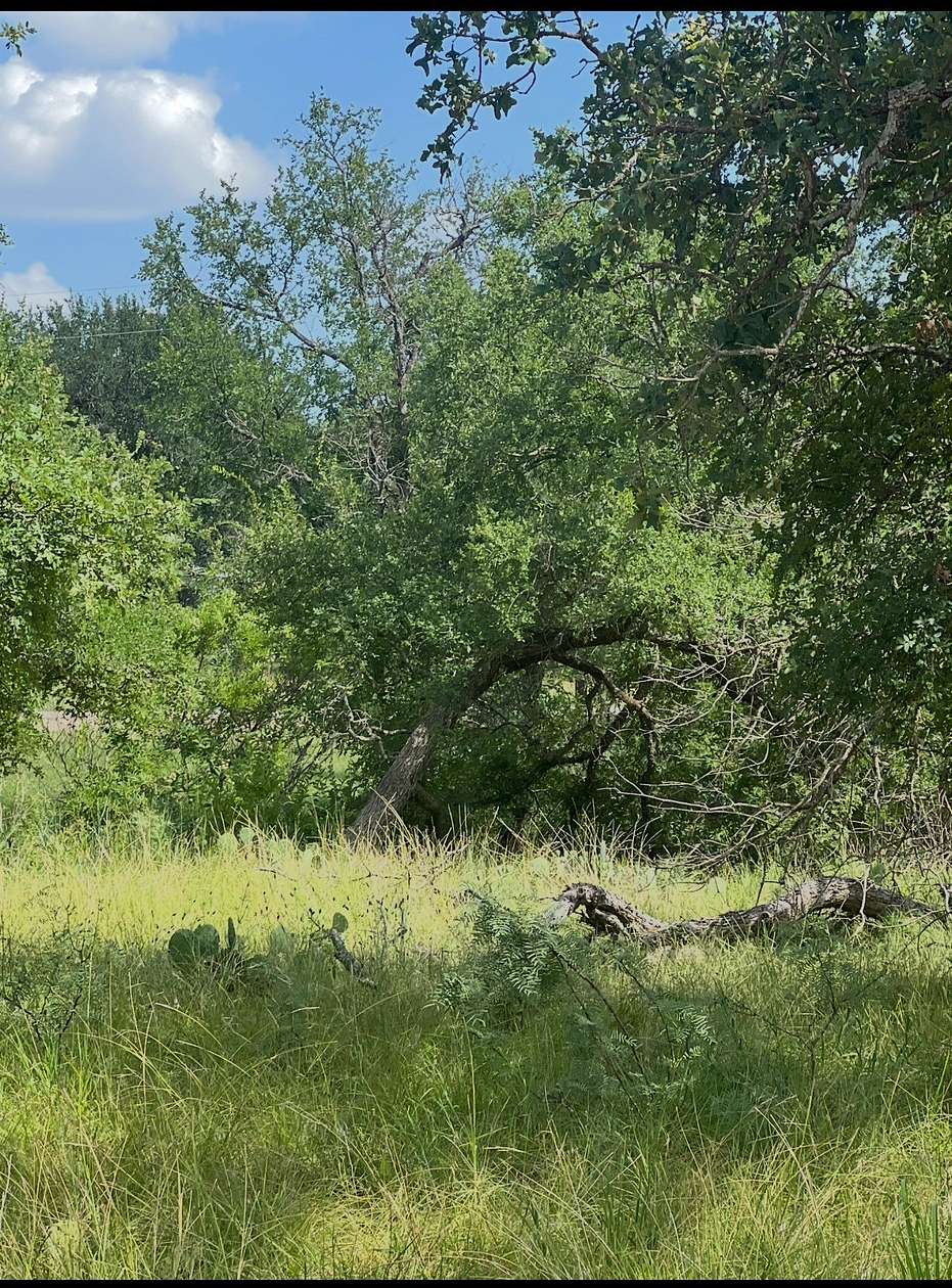 0.06 Acres of Land for Sale in May, Texas
