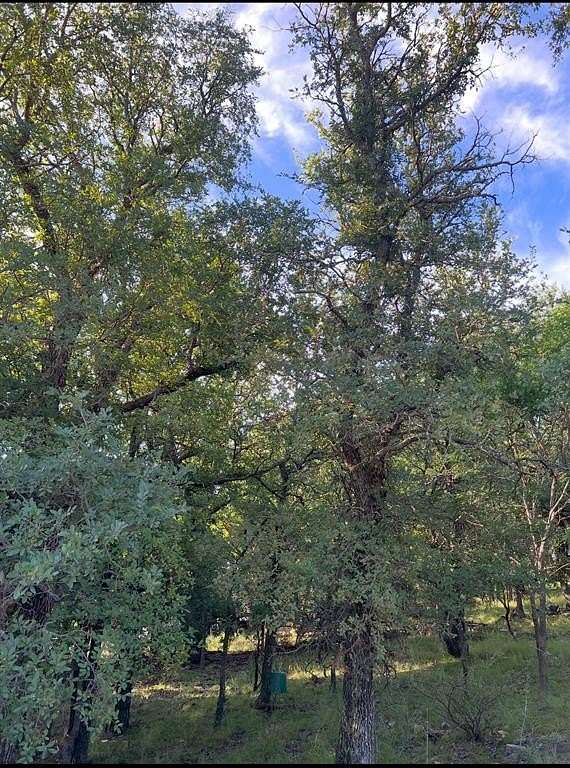 0.05 Acres of Land for Sale in May, Texas