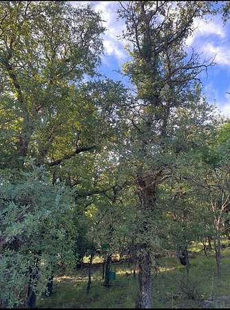 0.05 Acres of Land for Sale in May, Texas