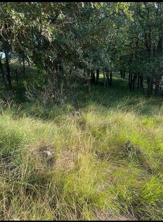 0.07 Acres of Land for Sale in May, Texas