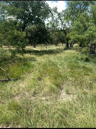 0.21 Acres of Land for Sale in May, Texas