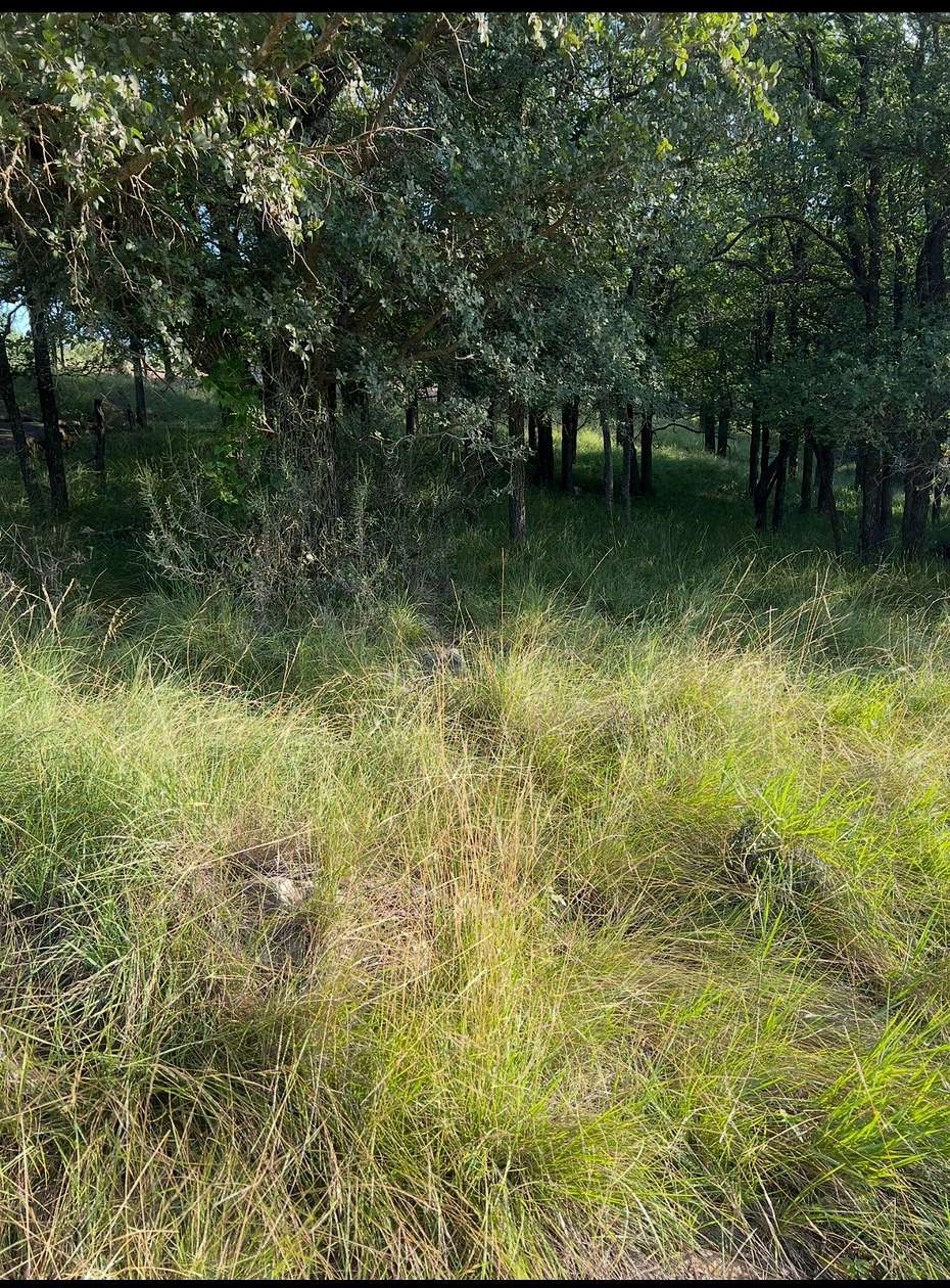 0.12 Acres of Land for Sale in May, Texas