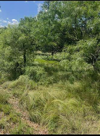0.09 Acres of Land for Sale in May, Texas