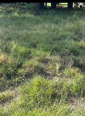 0.05 Acres of Land for Sale in May, Texas