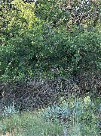 0.05 Acres of Land for Sale in May, Texas