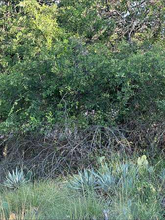 0.05 Acres of Land for Sale in May, Texas