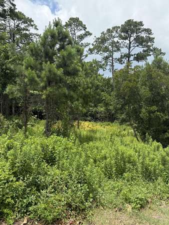 0.28 Acres of Residential Land for Sale in Sneads Ferry, North Carolina
