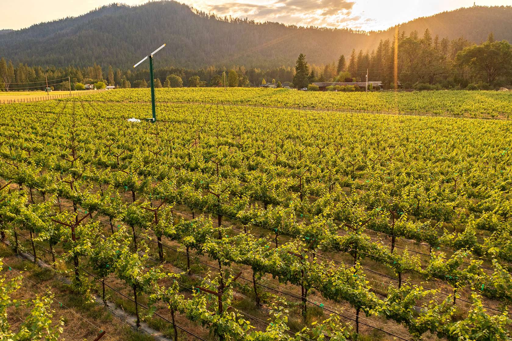 10.4 Acres of Land for Sale in Grants Pass, Oregon