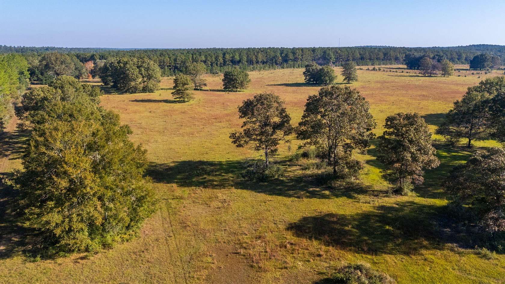 15 Acres of Land for Sale in DeFuniak Springs, Florida