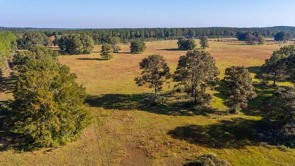 15 Acres of Land for Sale in DeFuniak Springs, Florida