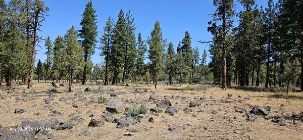 1 Acre of Residential Land for Sale in Keno, Oregon