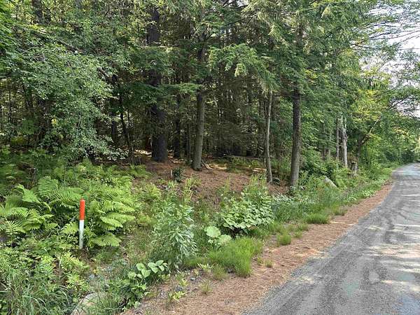 11.6 Acres of Commercial Land for Sale in Weathersfield Town, Vermont