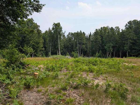 3.1 Acres of Residential Land for Sale in Oscoda, Michigan
