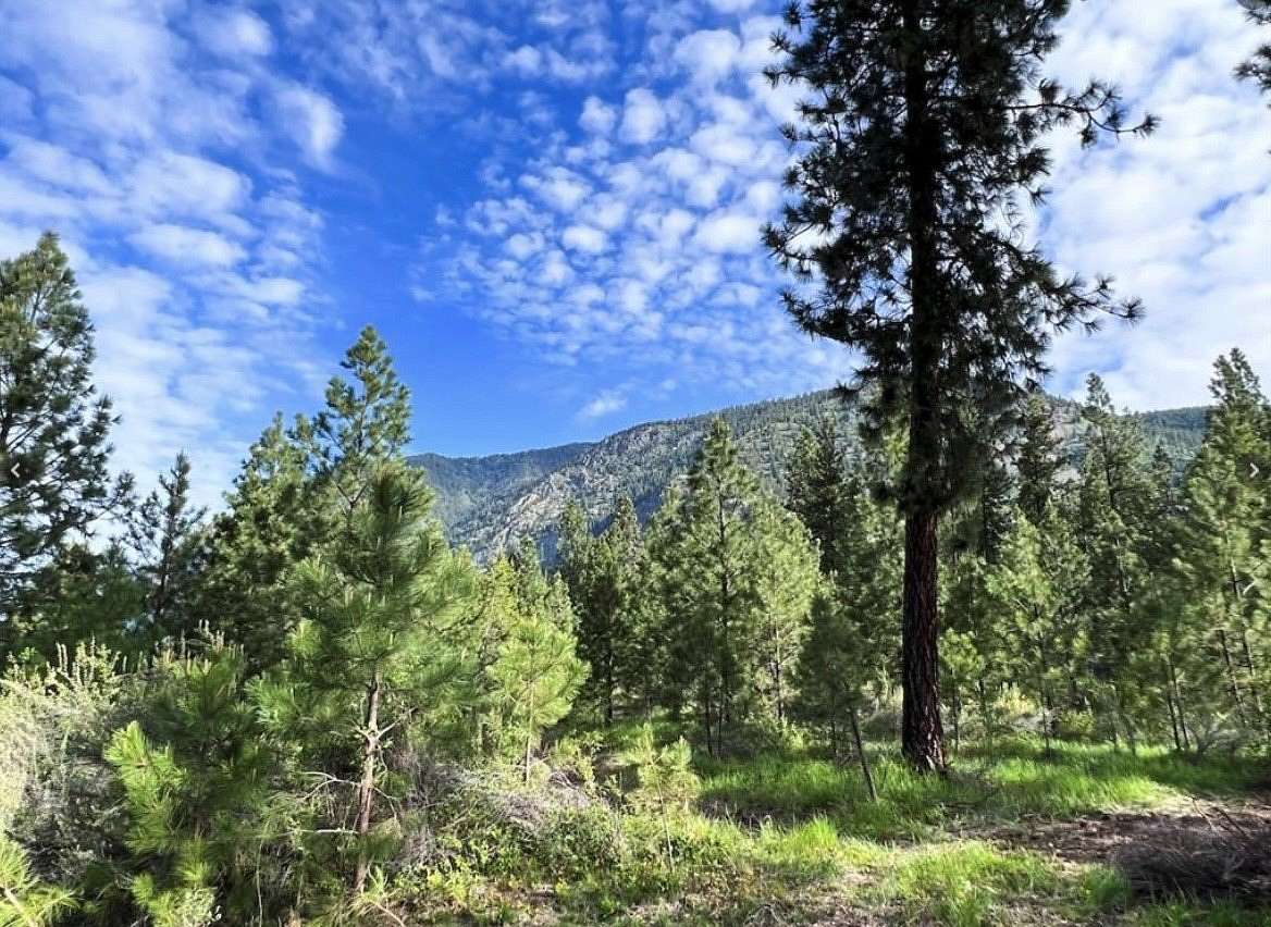 2.34 Acres of Residential Land for Sale in Plains, Montana