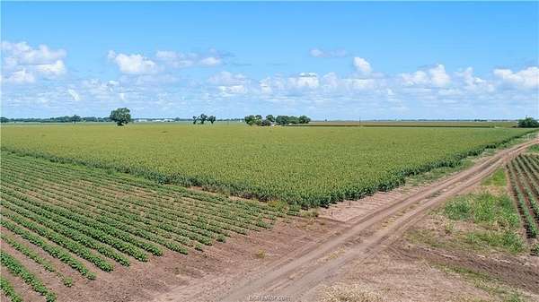 42 Acres of Agricultural & Residential Land for Sale in Bryan, Texas
