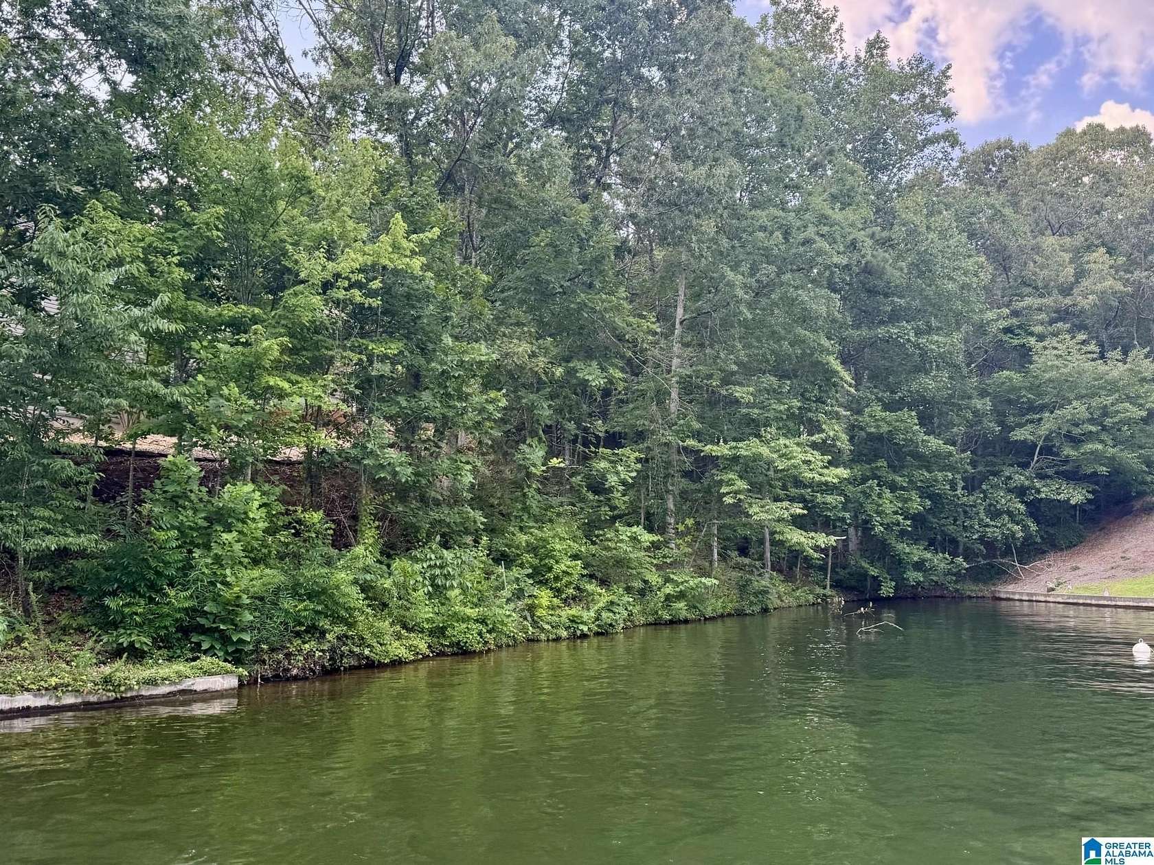 1 Acre of Residential Land for Sale in Wedowee, Alabama