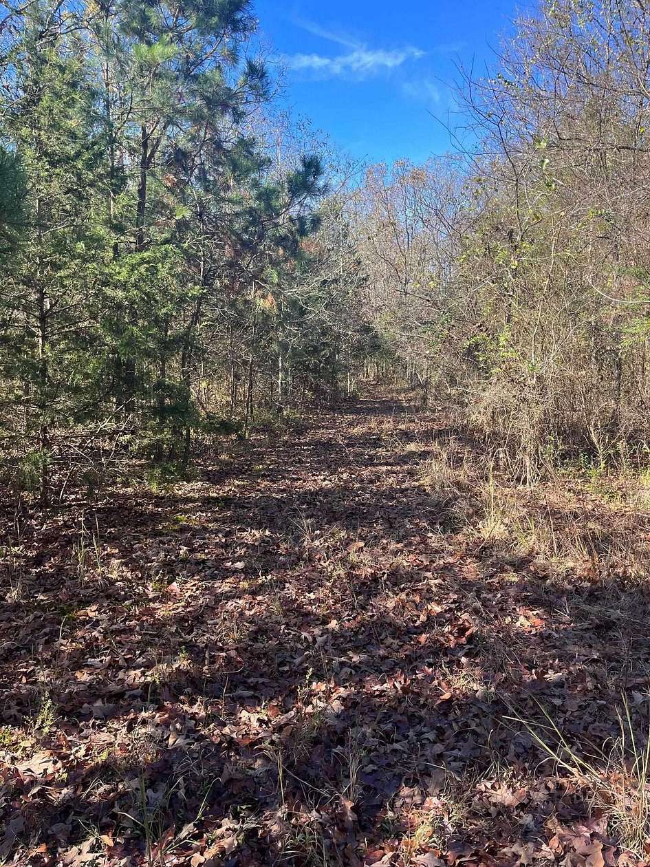 13 Acres of Land for Sale in Mena, Arkansas