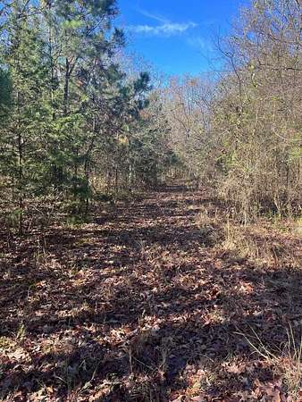 13 Acres of Land for Sale in Mena, Arkansas